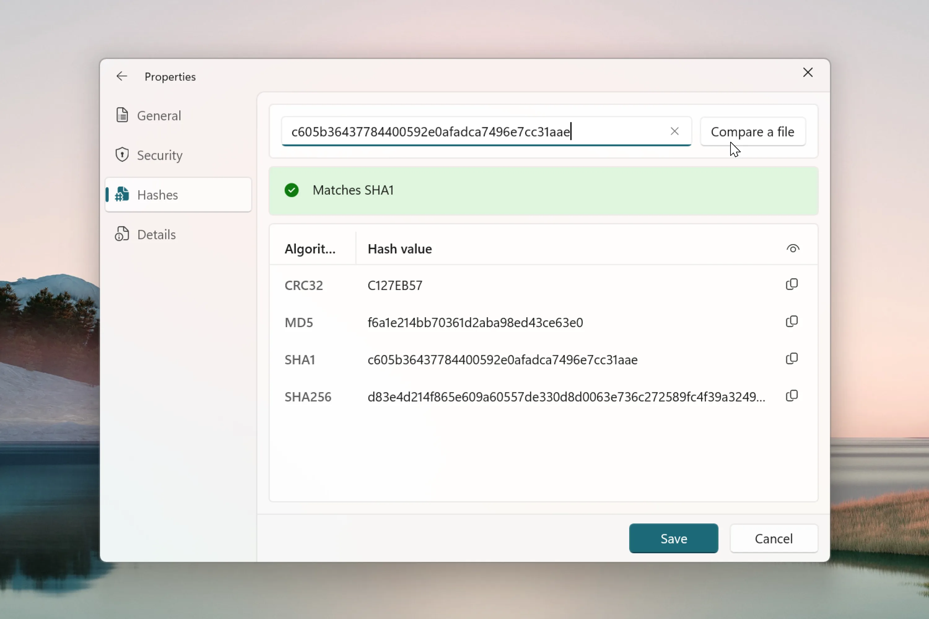 Hash comparison feature