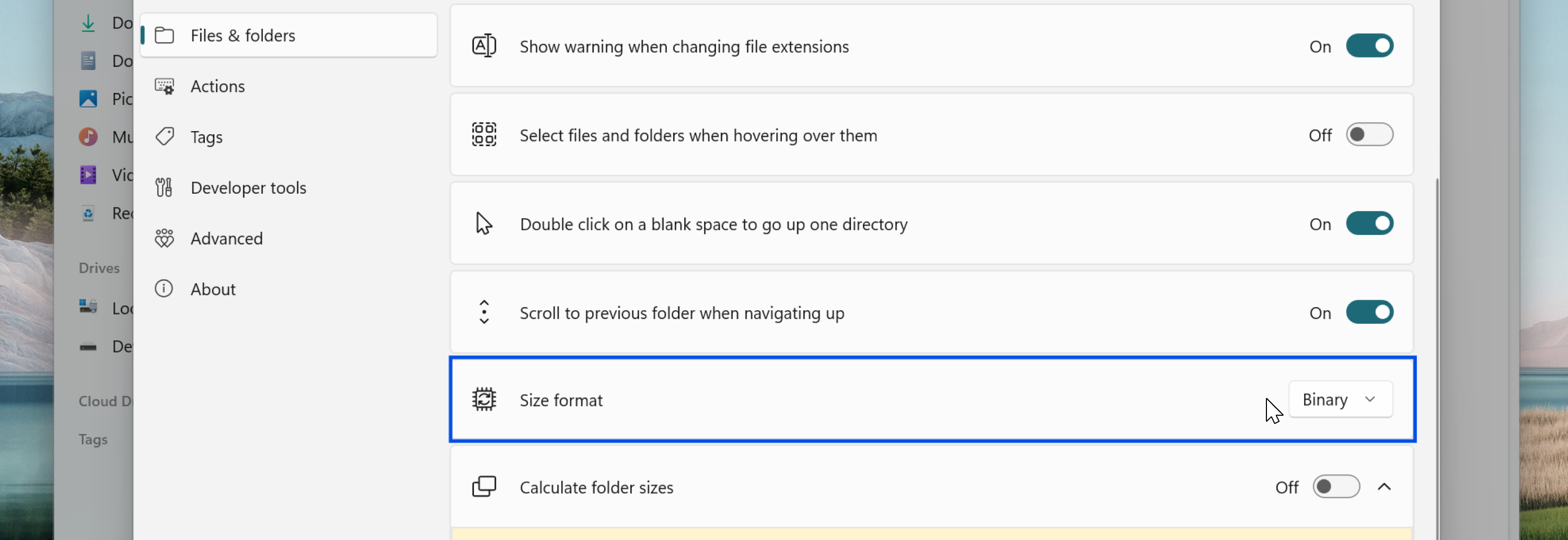 Size format setting